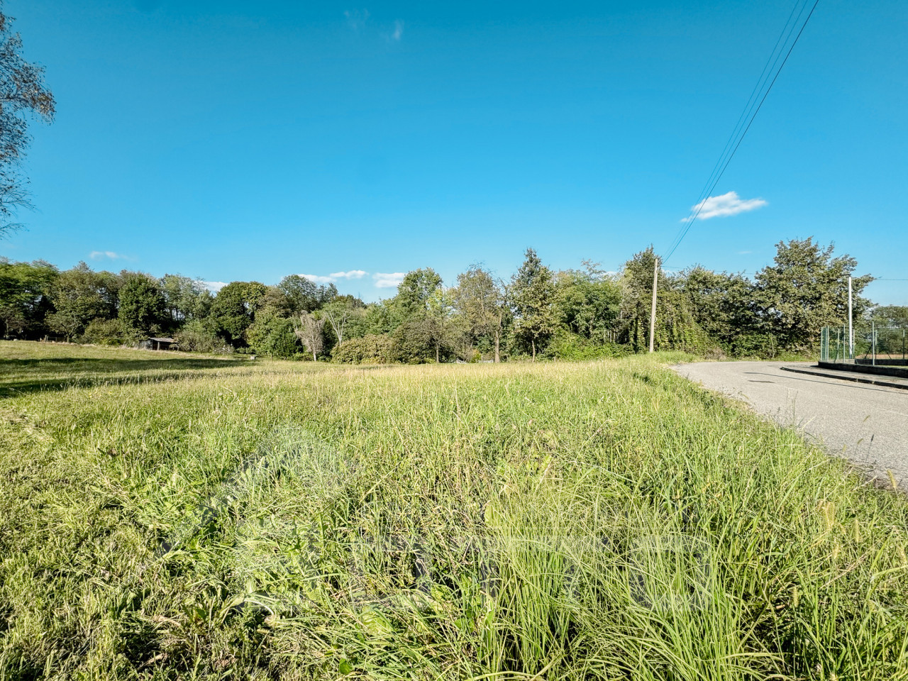 000__vendita-terreno-cureggio1_wmk_0