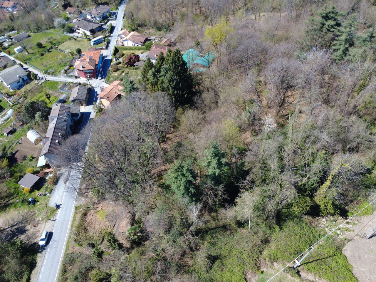 001__dji_fly_20260327_124256_46_1774611795355_photo_optimized