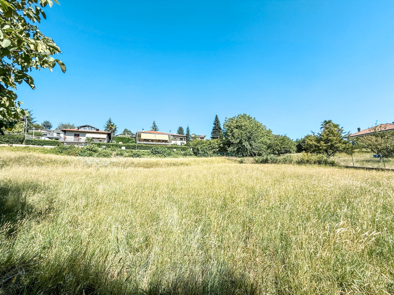 001__prato2_wmk_0