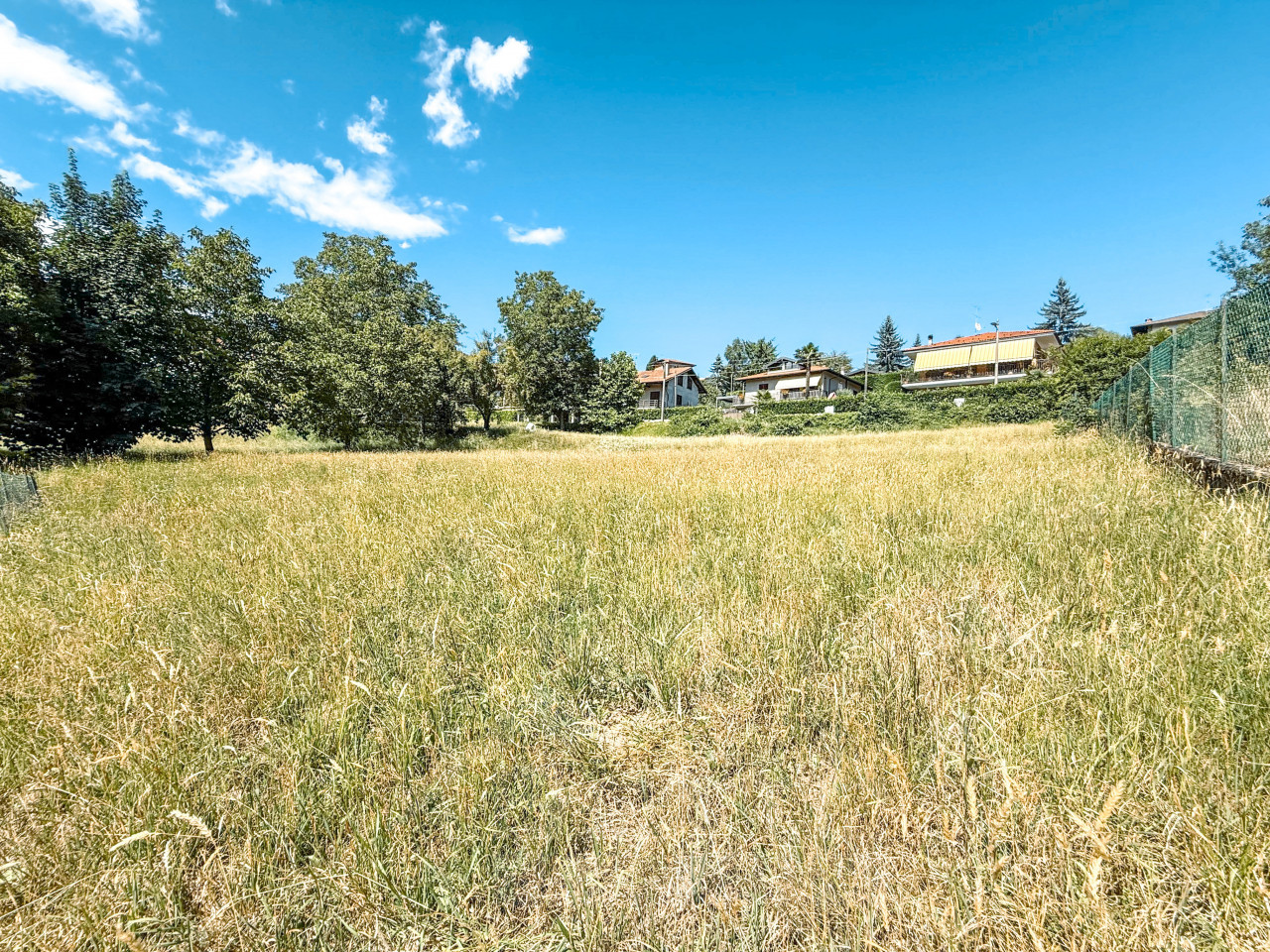 002__prato3_wmk_0
