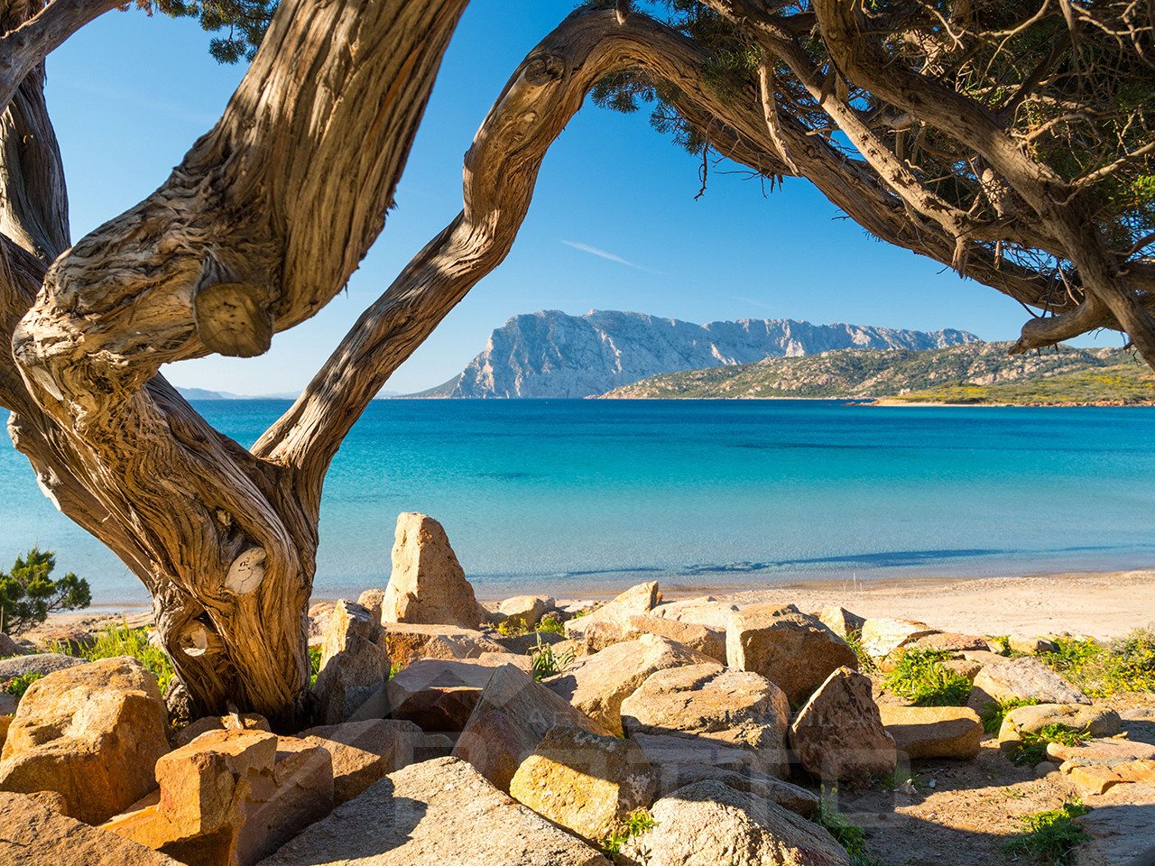 003__san_teodoro_wmk_0