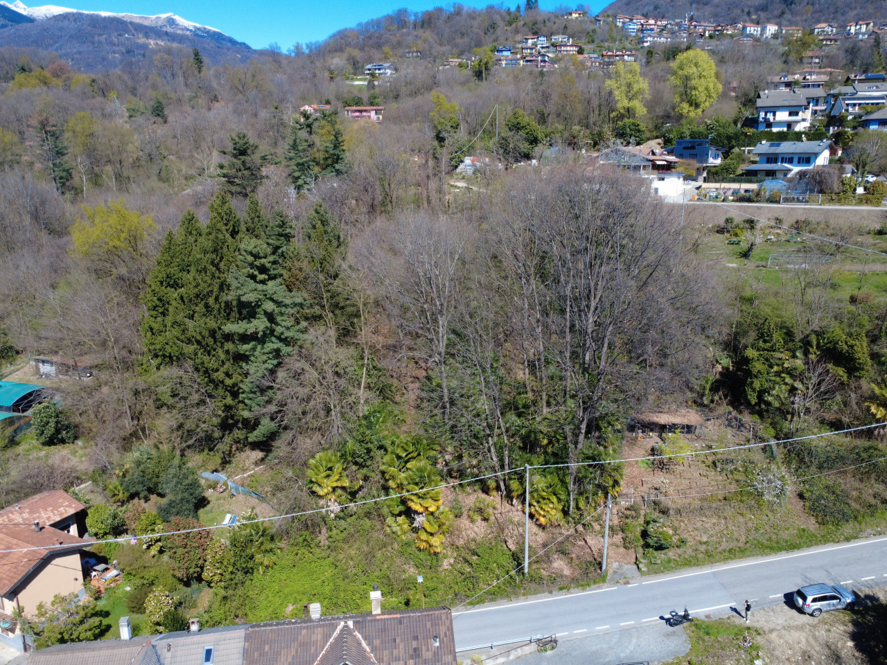 004__dji_fly_20260327_124148_42_1774611748293_photo_optimized