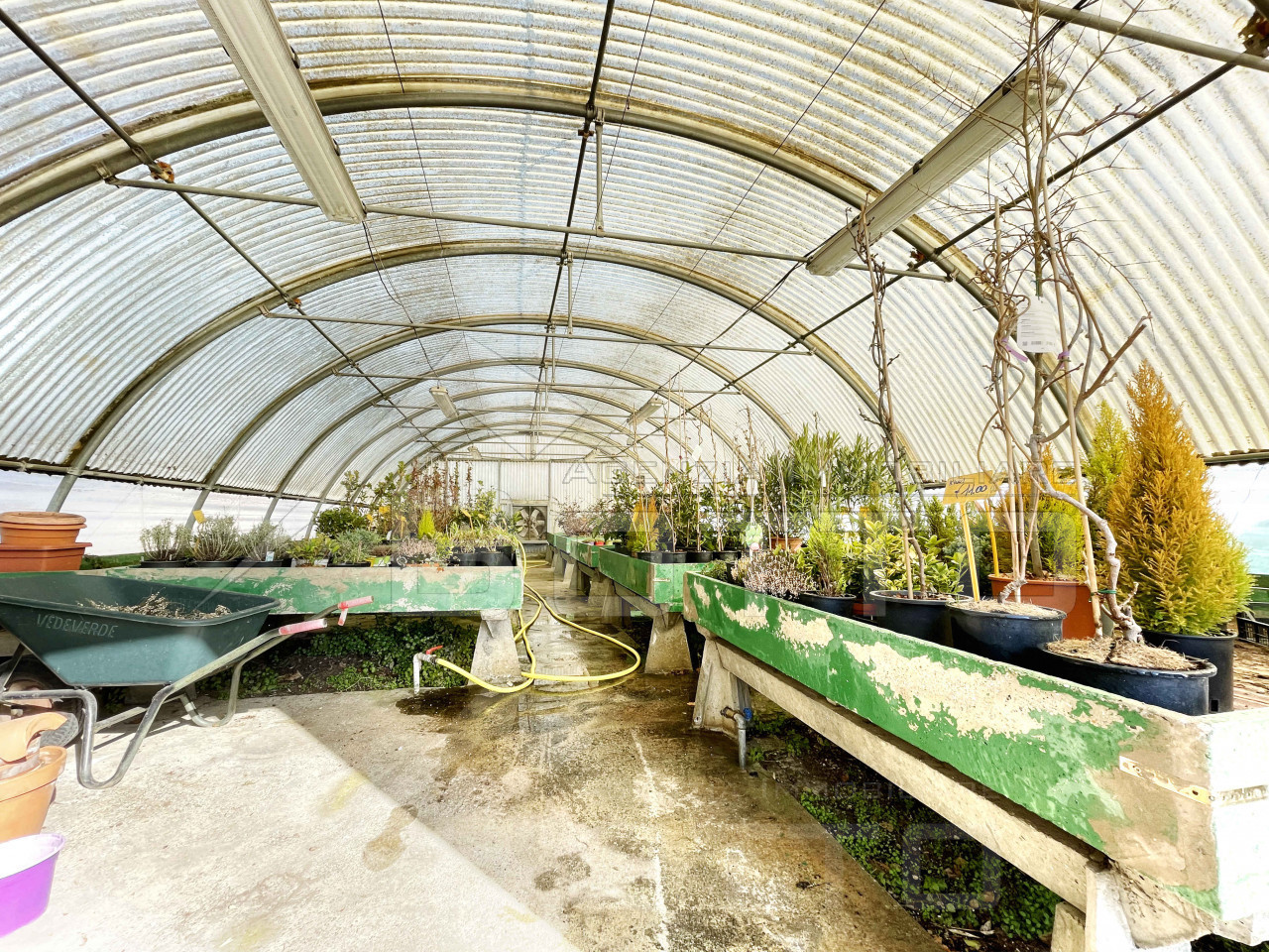 014__serra-vendita-borgomanero-interno_wmk_0
