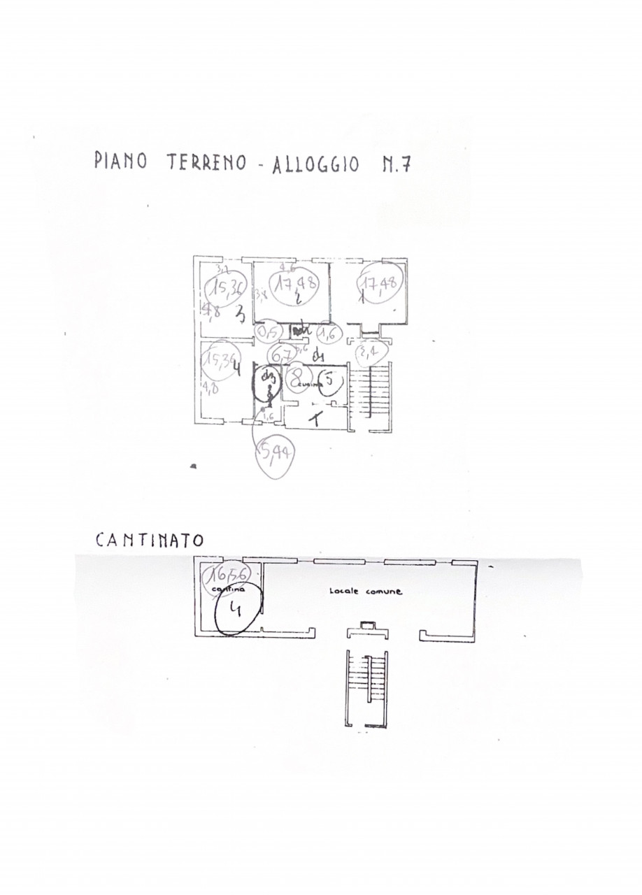 022__planimetria_palasciano-1
